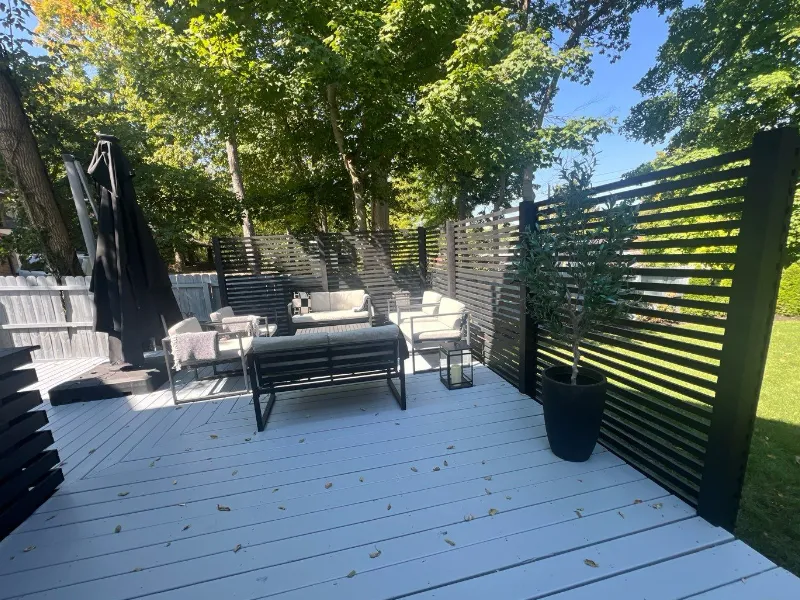Fence after painting