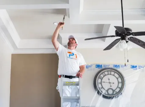 Painter1 interior painting project